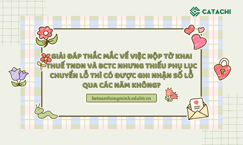 Giải đáp thắc mắc về việc nộp tờ khai thuế TNDN và BCTC nhưng thiếu phụ lục chuyển lỗ thì có được ghi nhận số lỗ qua các năm không?