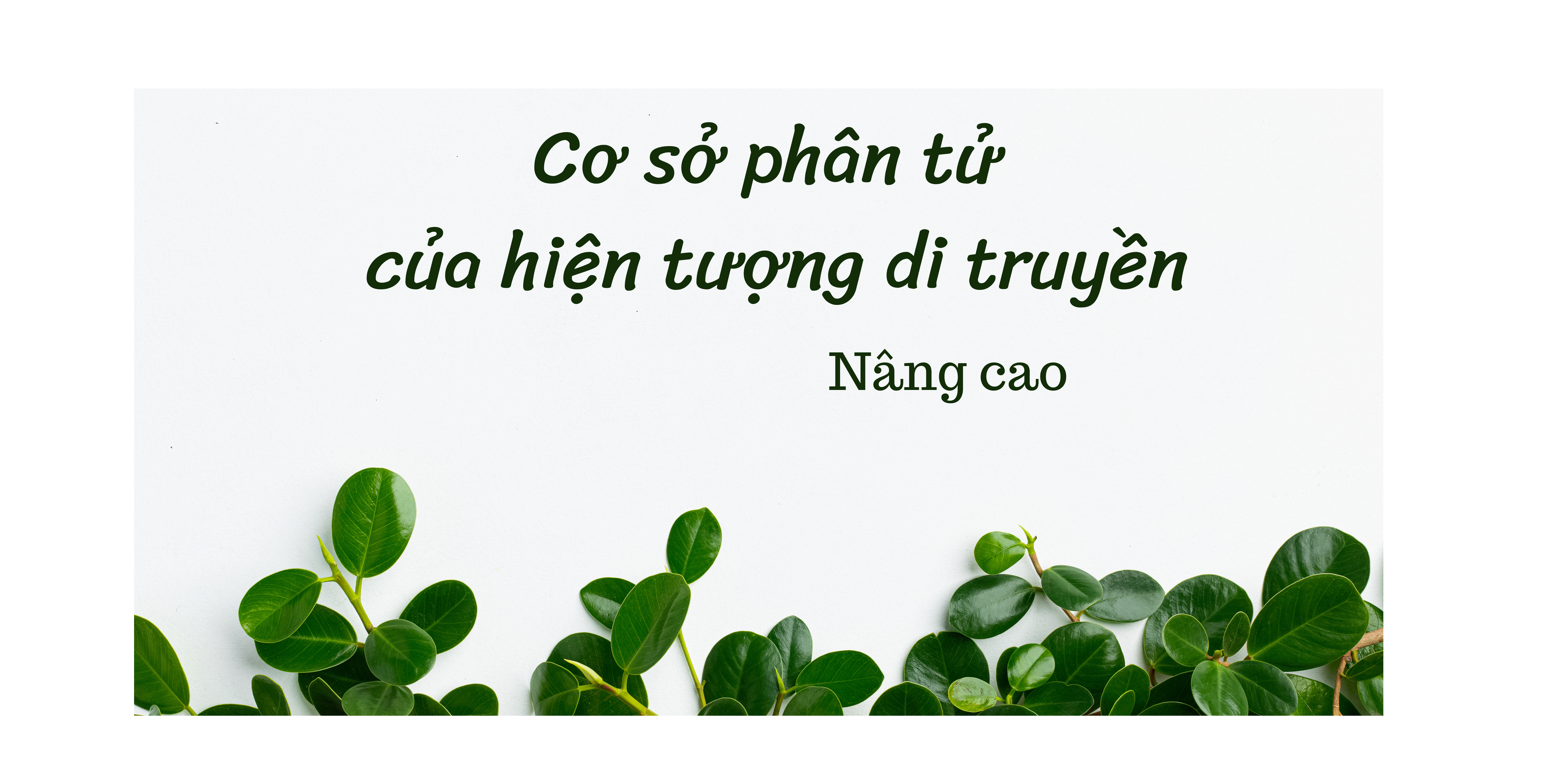 Cơ sở phân tử của hiện tượng di truyền - Nâng cao