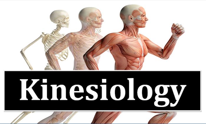Applied Kinesiology