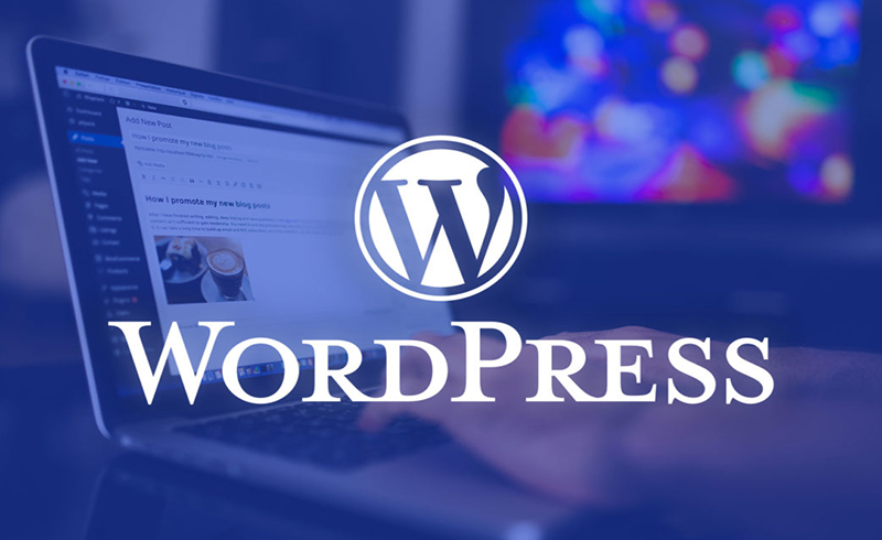 Khóa học làm website WordPress dành riêng cho người mới tiếp cận Affiliate Marketing