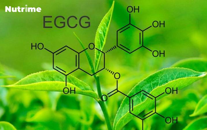 Trà xanh có chứa EGCG là chất chống oxy hoá, tăng cường sức khoẻ tế bào 