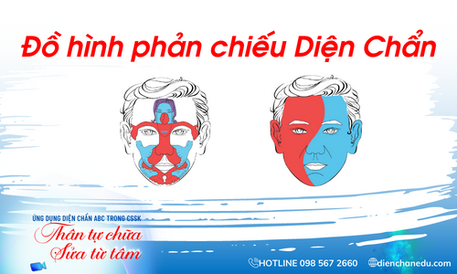 ĐỒ HÌNH PHẢN CHIẾU NỘI TẠNG CƠ THỂ