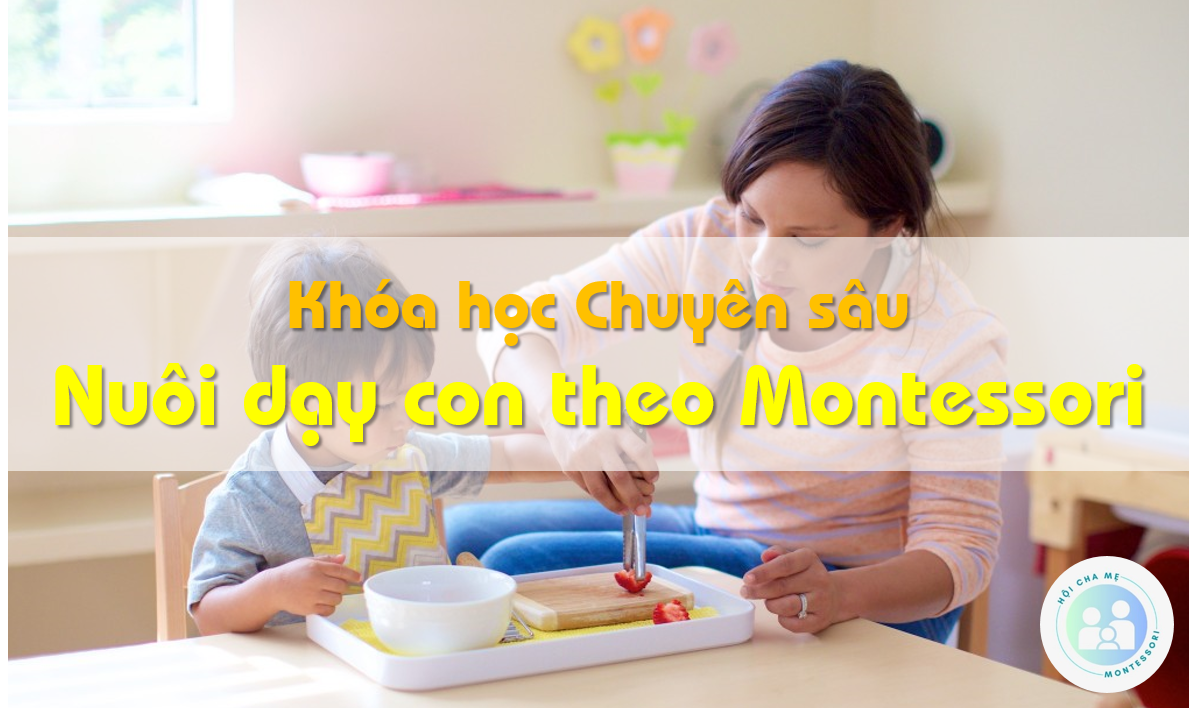 Chuyên sâu về Nuôi dạy con theo Montessori