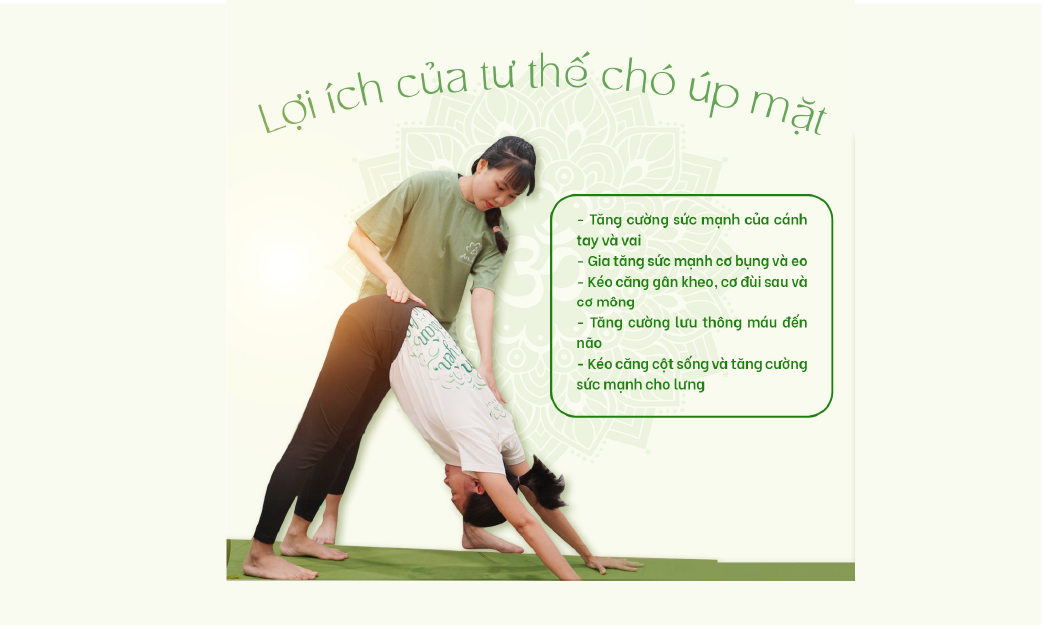 5 LỢI ÍCH TUYỆT VỜI CỦA TƯ THẾ CHÓ ÚP MẶT (DOWNWARD FACING DOG)