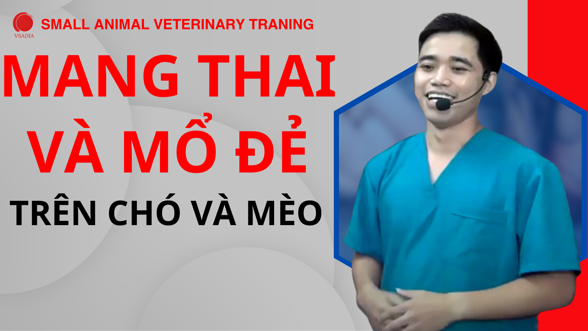 MANG THAI VÀ MỔ ĐẺ TRÊN CHÓ VÀ MÈO