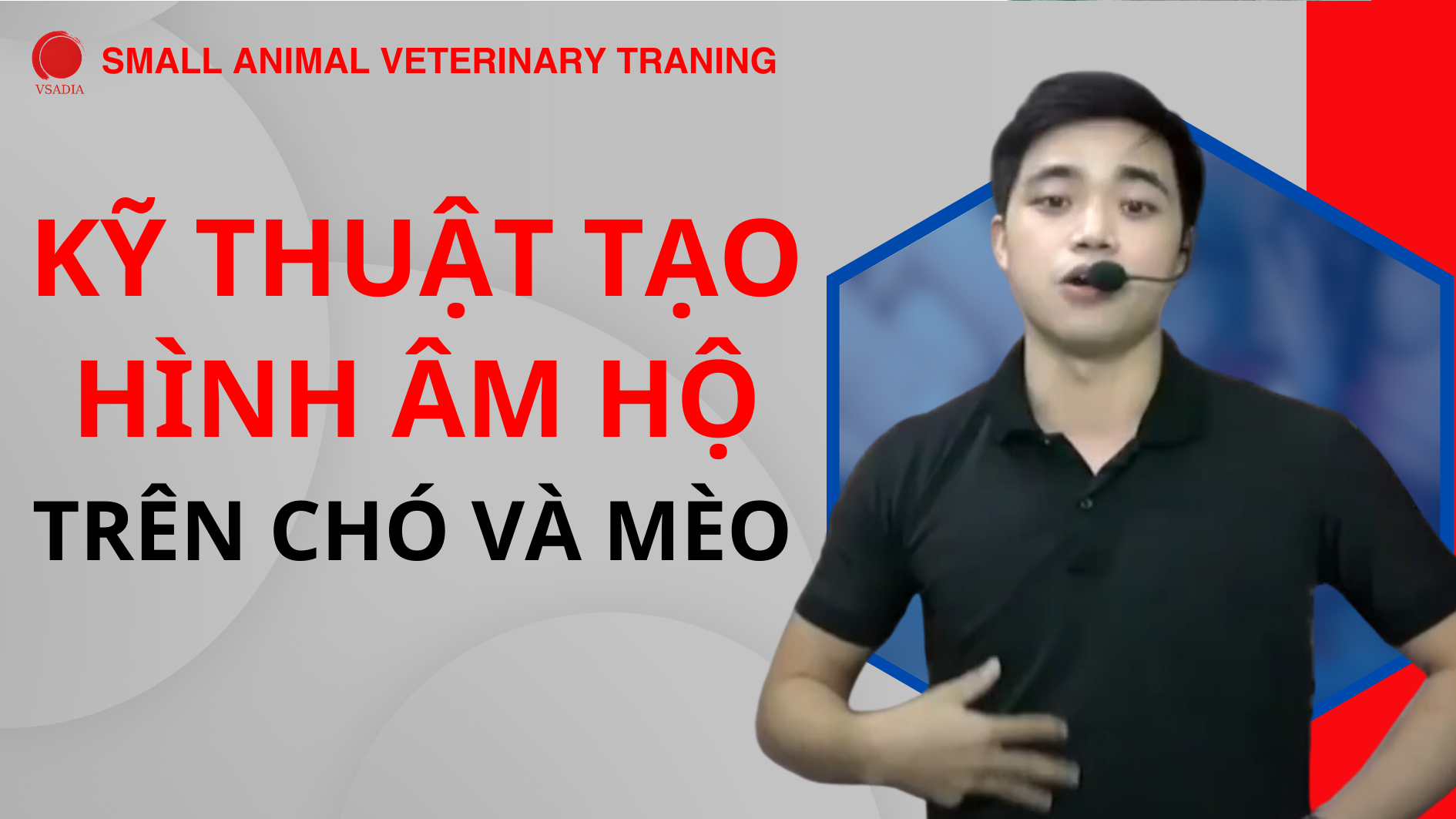 KỸ THUẬT TẠO HÌNH ÂM HỘ TRÊN CHÓ VÀ MÈO