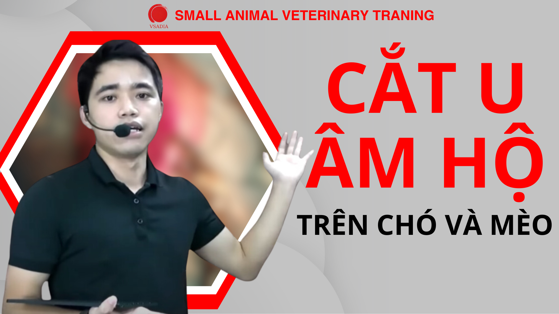 CẮT U ÂM HỘ TRÊN CHÓ VÀ MÈO