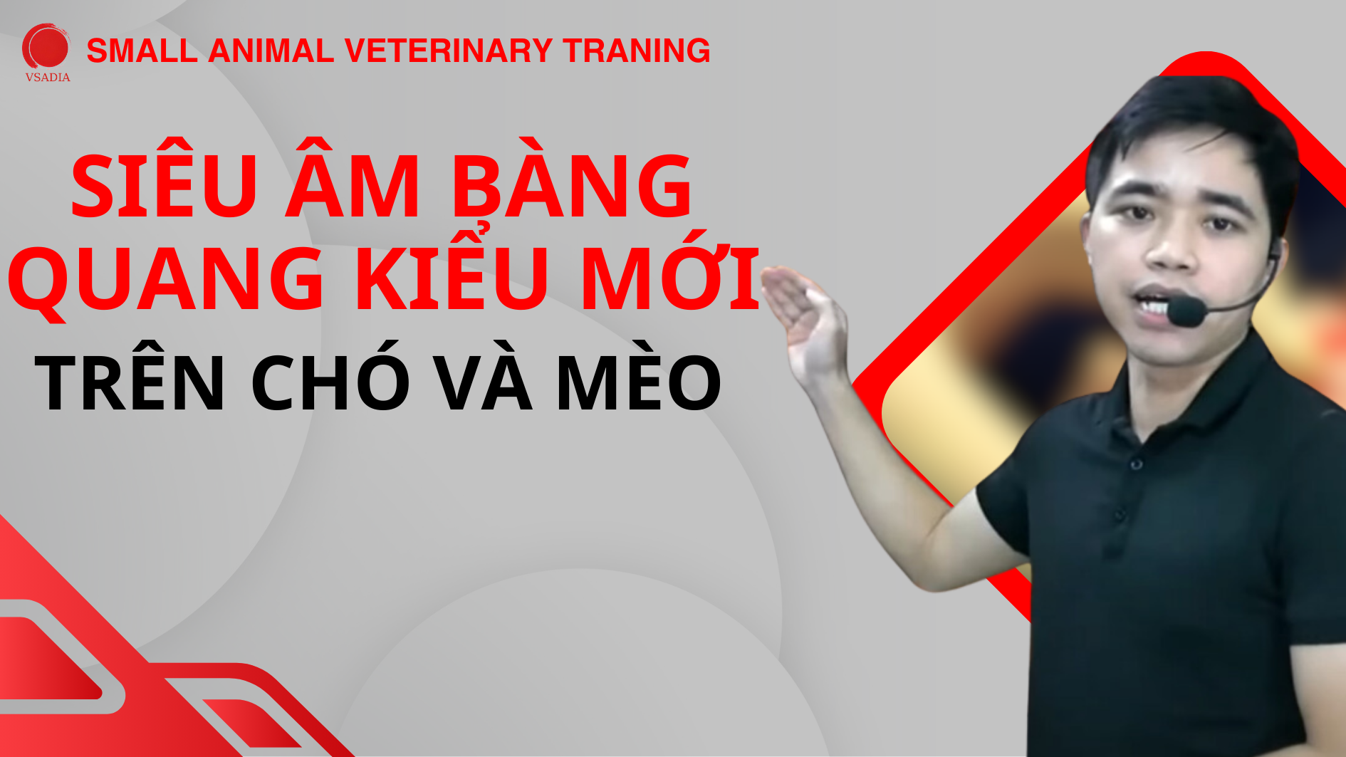 SIÊU ÂM BÀNG QUANG - PHƯƠNG PHÁP MỚI TRÊN CHÓ VÀ MÈO