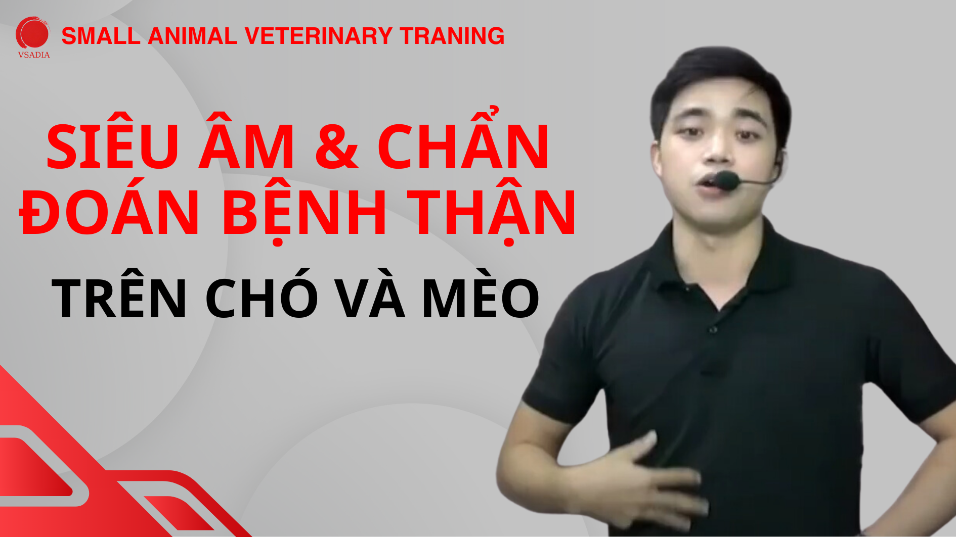 SIÊU ÂM & CHẨN ĐOÁN BỆNH THẬN TRÊN CHÓ VÀ MÈO