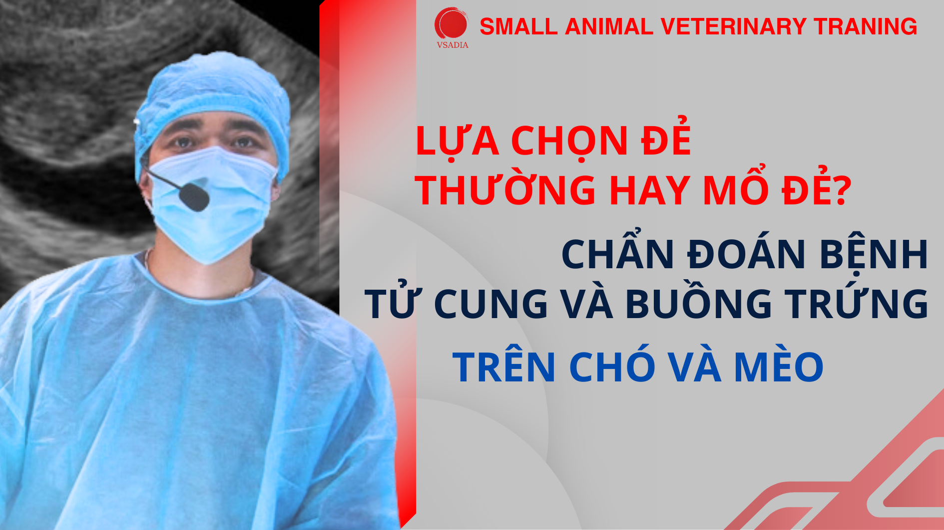 LỰA CHỌN ĐẺ THƯỜNG HAY MỔ ĐẺ? CHẨN ĐOÁN BỆNH TỬ CUNG VÀ BUỒNG TRỨNG