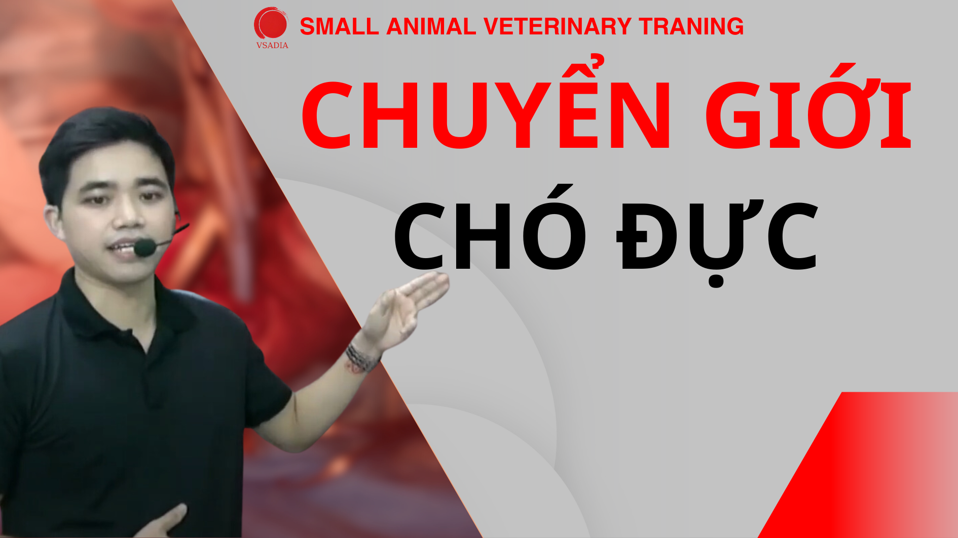 CHUYỂN GIỚI CHÓ ĐỰC