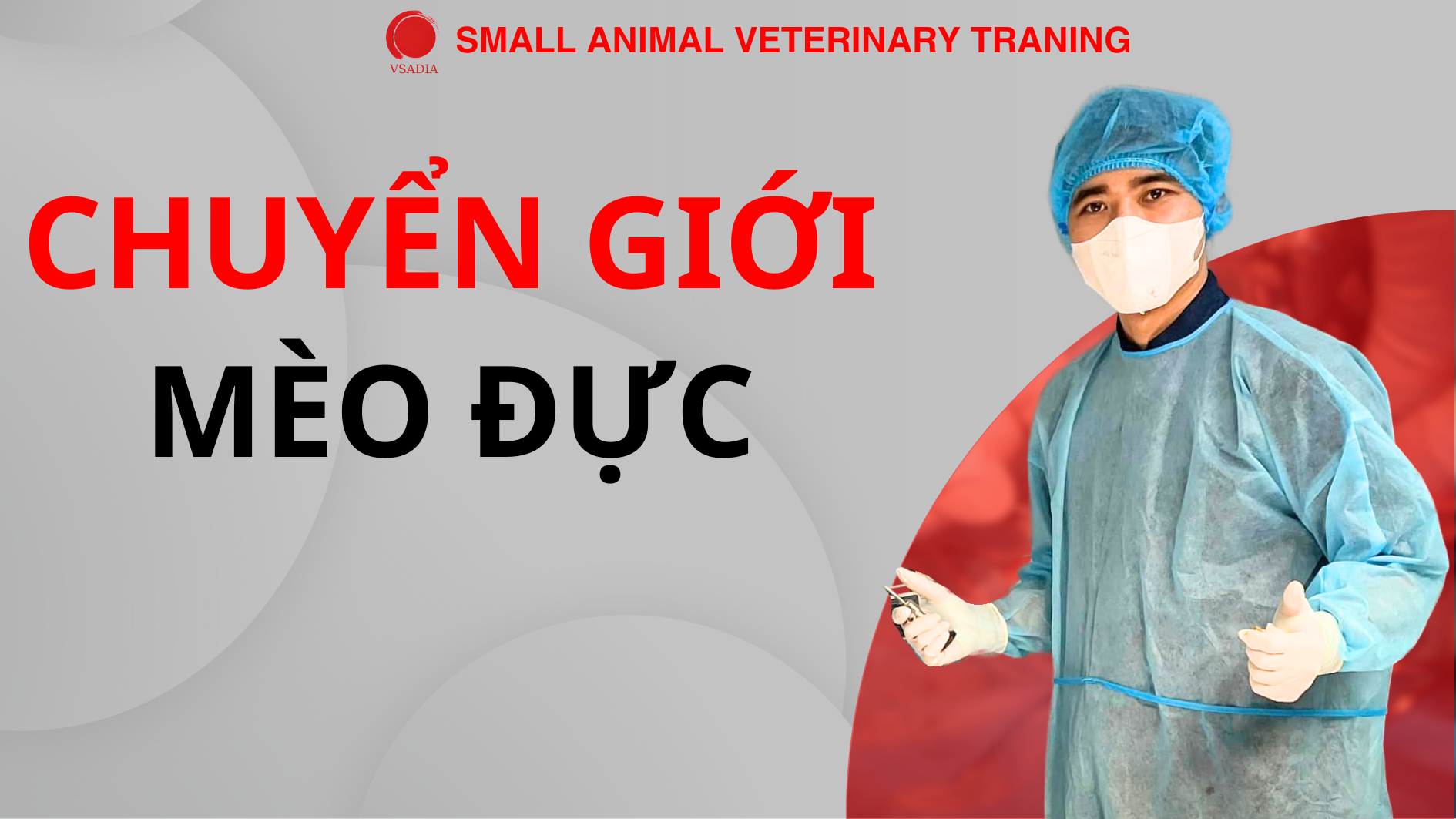 CHUYỂN GIỚI MÈO ĐỰC