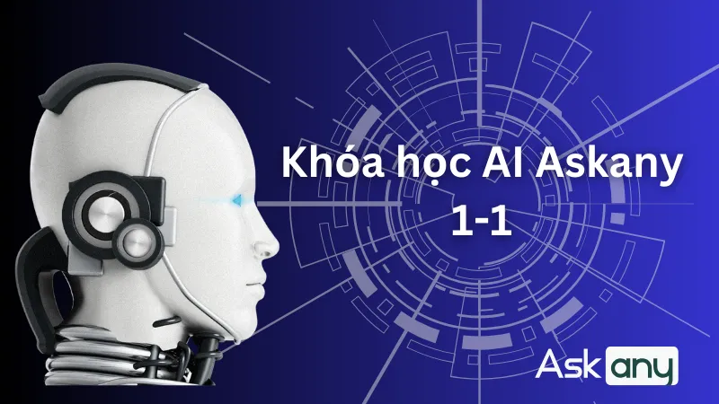 Học kinh doanh và kiếm tiền MMO (test)