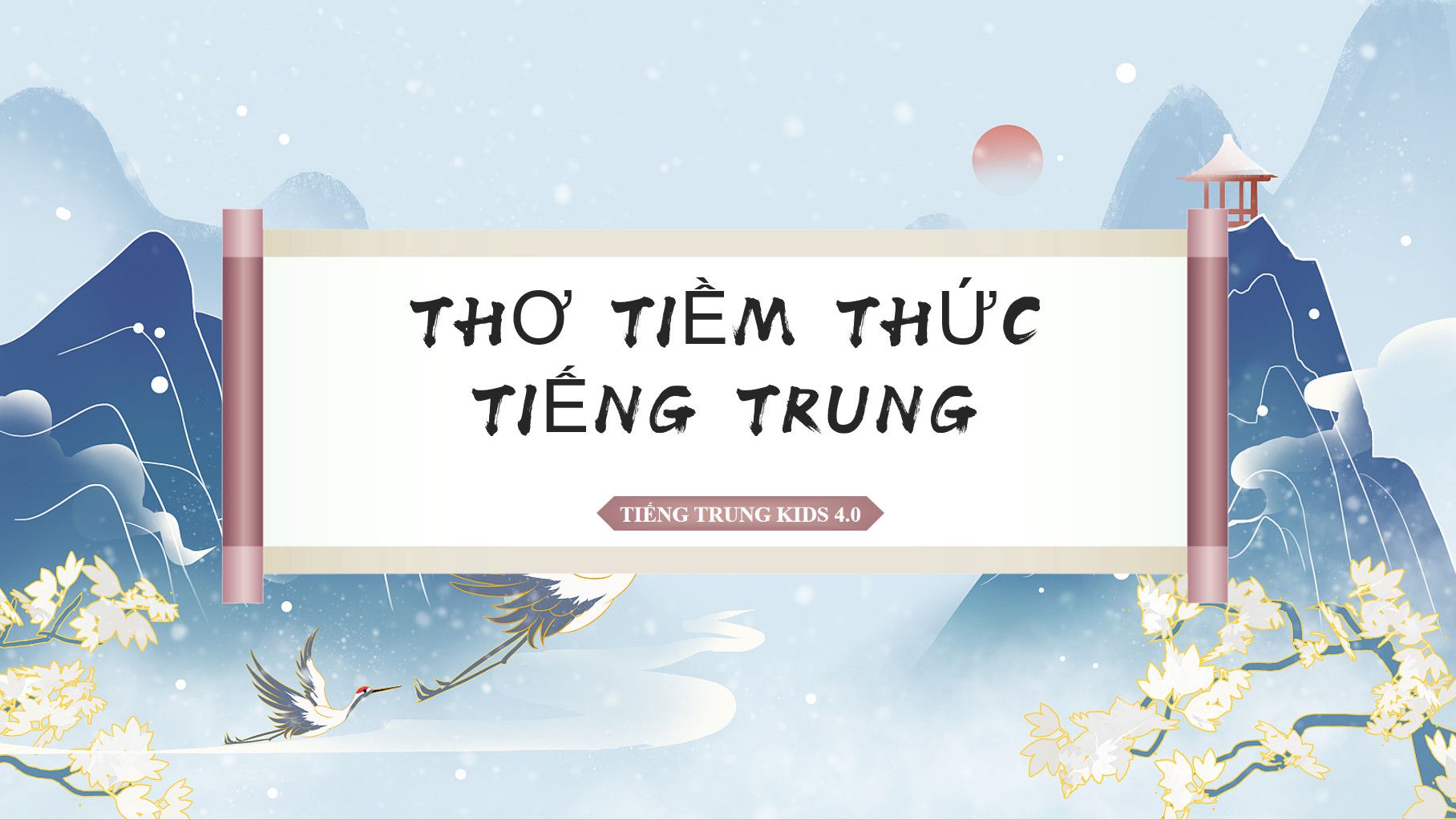 Ảnh combo
